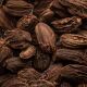 Cardamom, Kardamom schwarz 40g