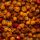 Bio Chili Aji Charapita ganz 10g, Glas